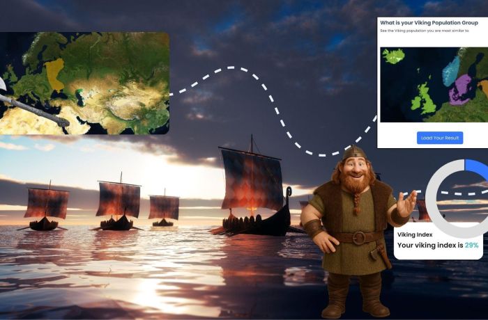 viking ships to show the viking part of the dna kit
