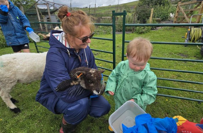 mum and young boy feeding sheep on a west yorkshire farm