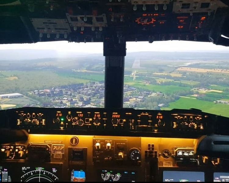 Flight landing simulator