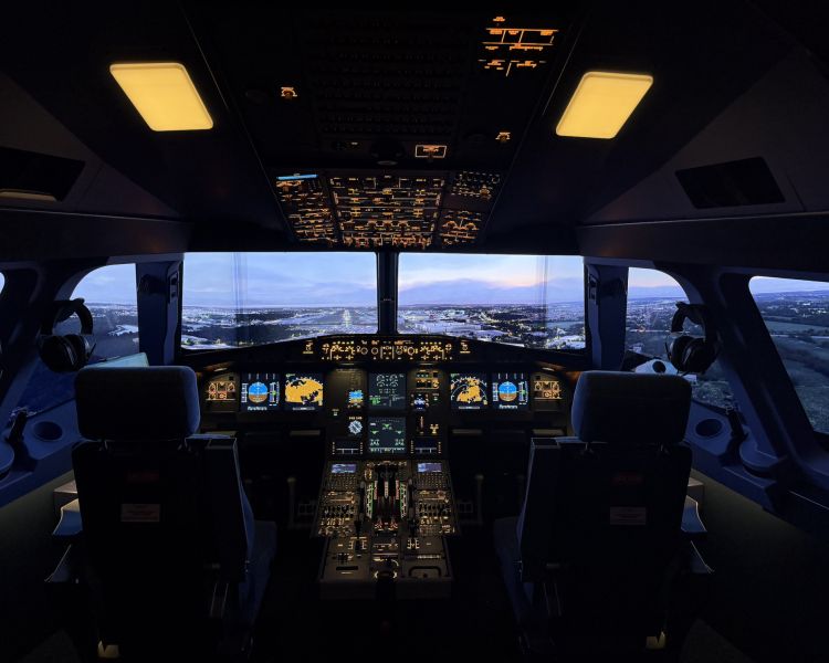 Flight simulator looking out at city view