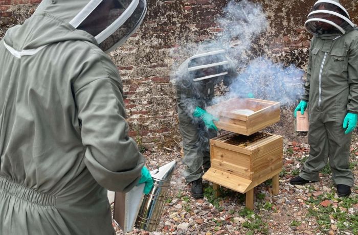 three people inspecting a beehive on a beekeeping experience at fort amherst for two
