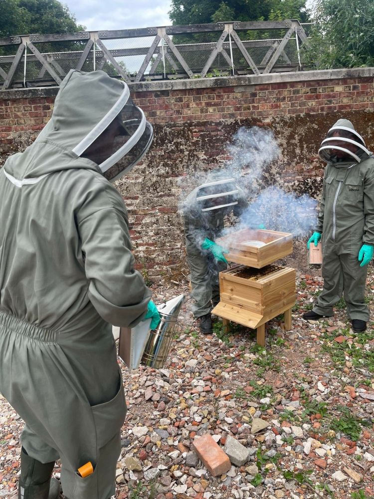 three people inspecting a beehive on a beekeeping experience at fort amherst for two
