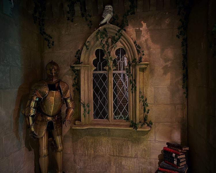medieval room with suit of amour in the corner next to a window with an owl sitting on top