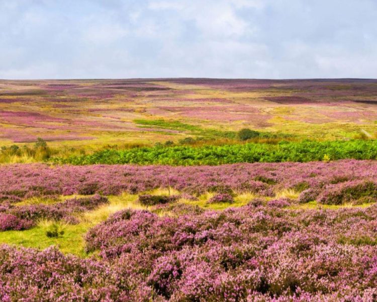 North yorkshire moors