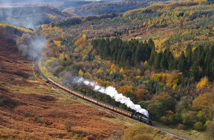 Wide view of a steam train through autumnal woodlands