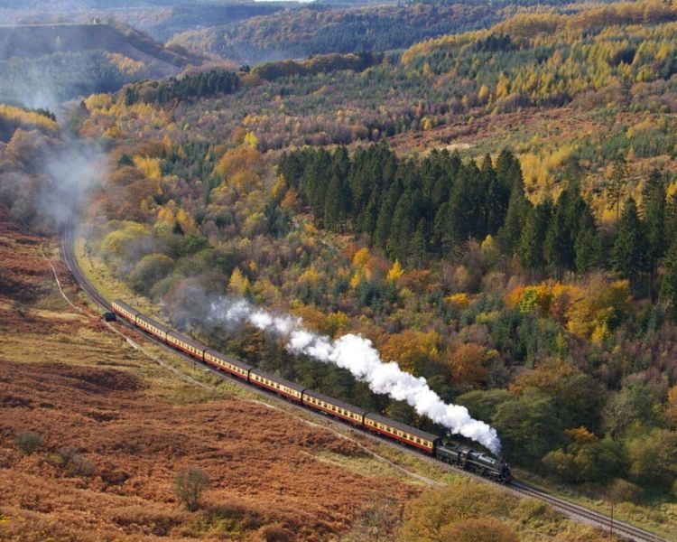 Wide view of a steam train through autumnal woodlands
