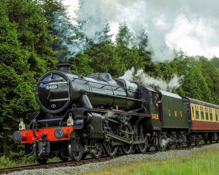 Steam train and woodlands