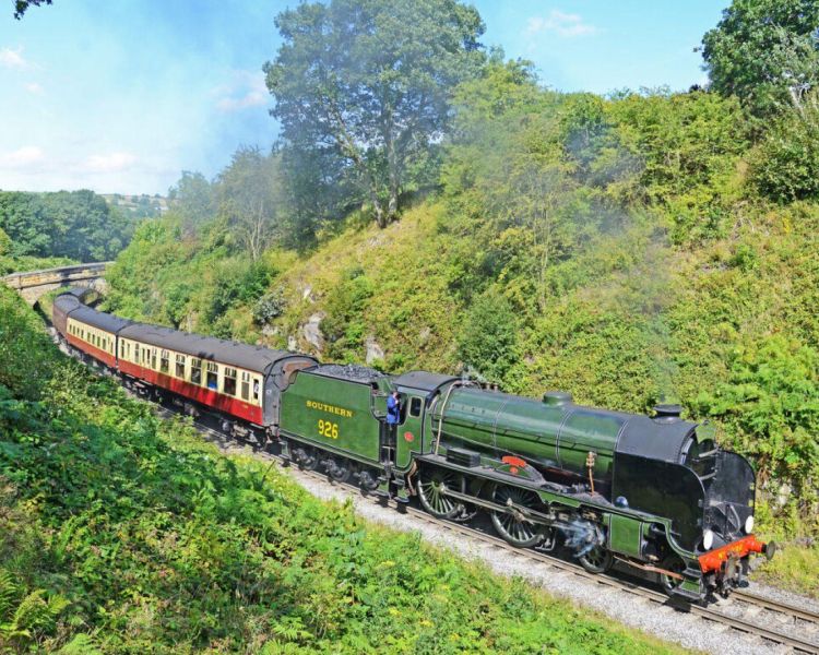 Steam train on a sunny day with greenery