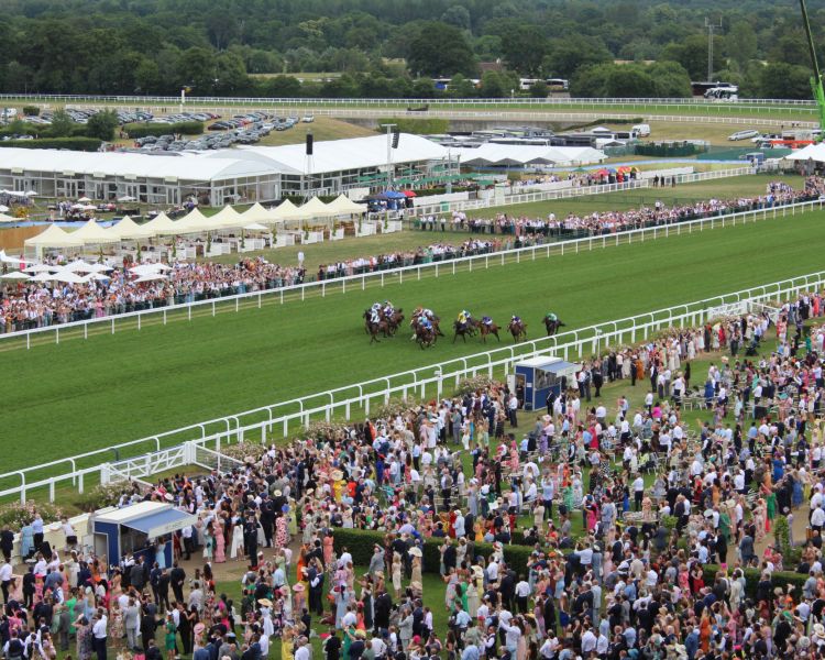 Elevated view of a live race