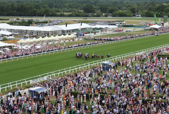 Elevated view of a live race