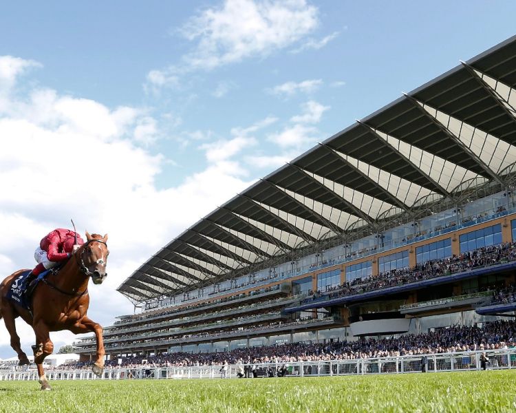 Ascot racing