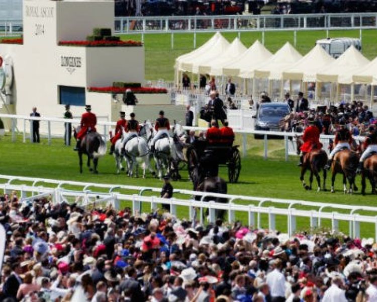 Horses racing and spectators