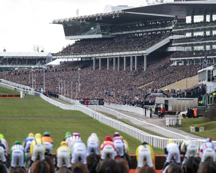Cheltenham racecourse start line
