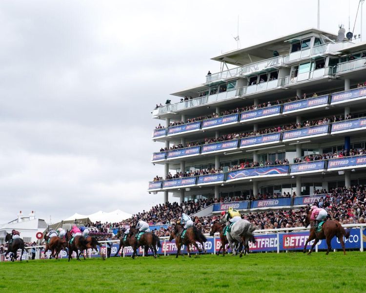 Epsom derby race