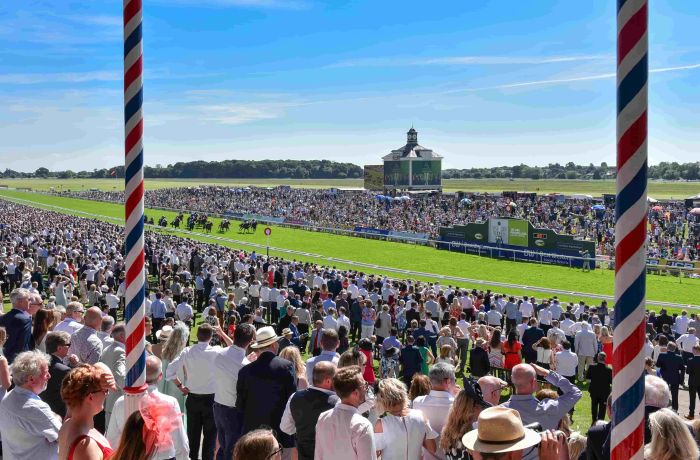 York racecourse live race