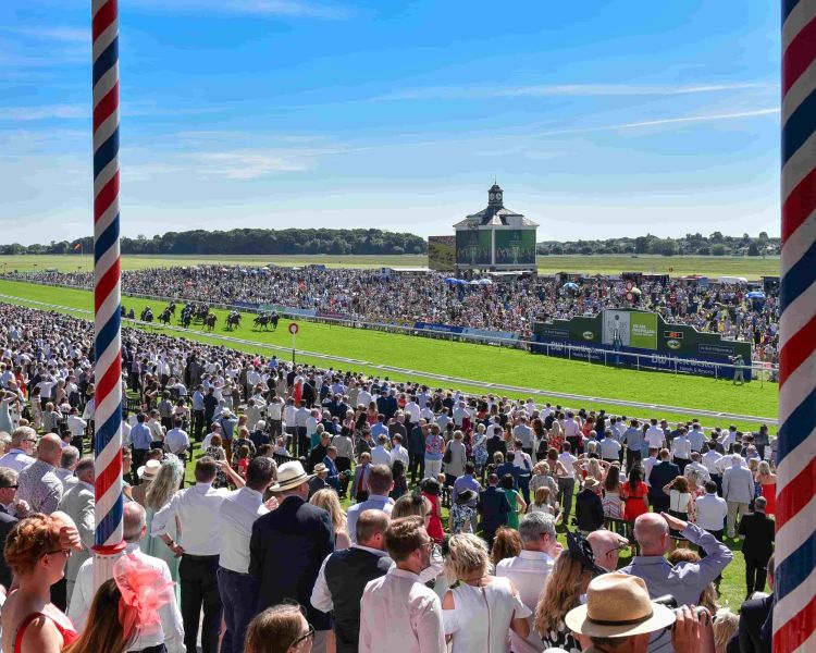 York racecourse live race