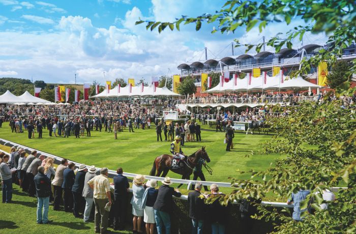 Goodwood crowd and horse jockie sunny day