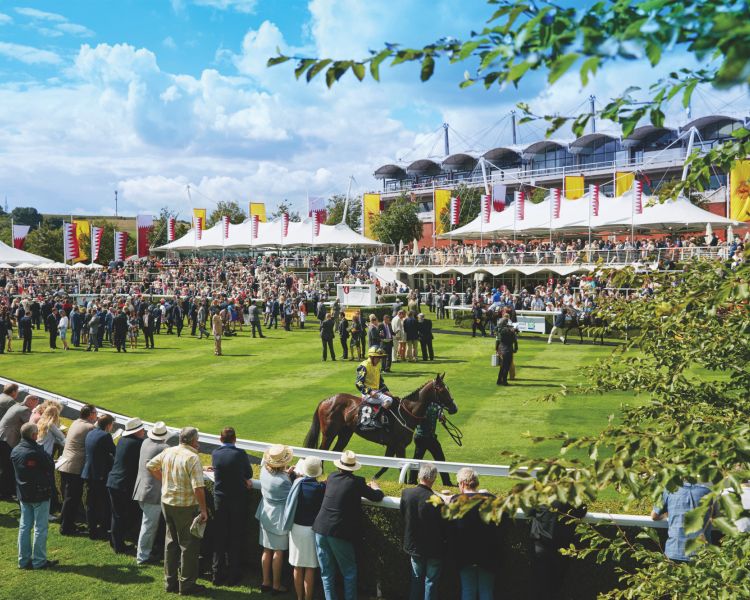 Goodwood crowd and horse jockie sunny day
