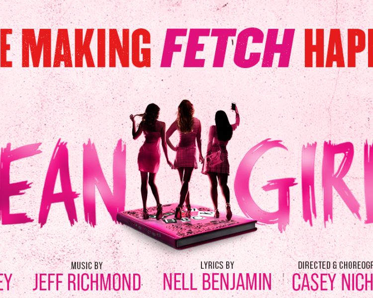 mean girls theatre show promotional poster