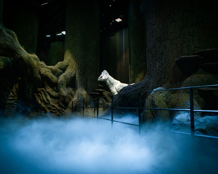 Forbidden forest at warner bros studio tour london