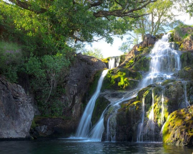 Waterfalls in betws y coed