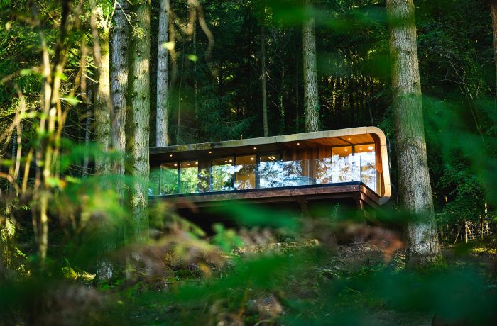 Forest lodge at zip world north wales