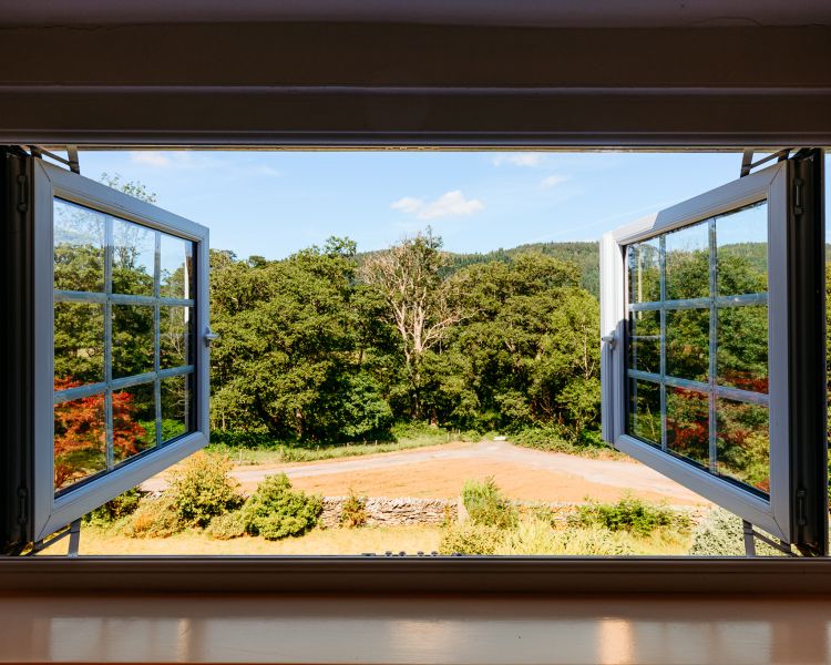 View from open window in cottage