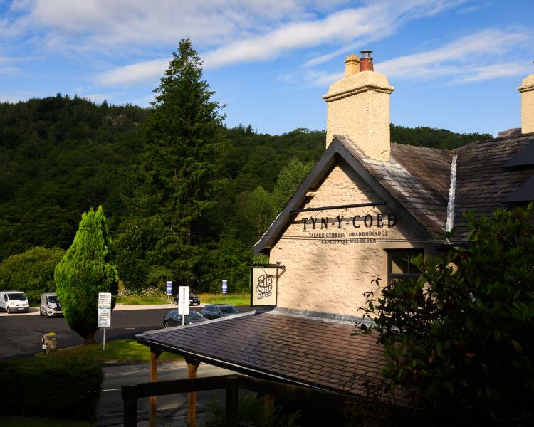 View of zip world inn surrounded by woodland