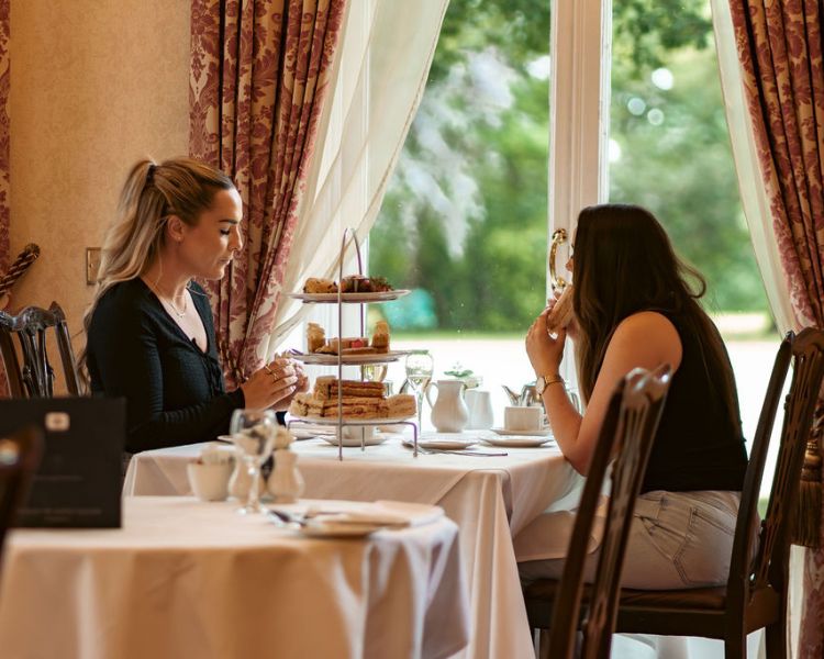 Two ladies for afternoon tea at farington lodge