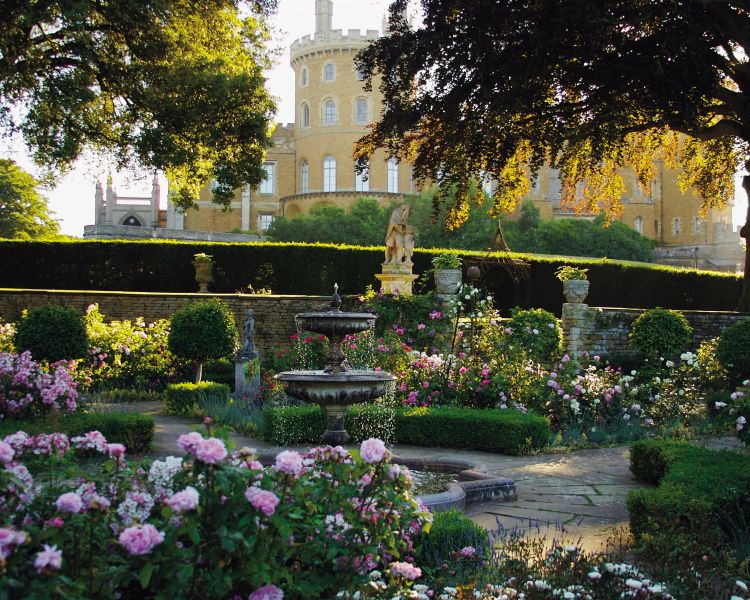 The rose garden at belvoir castle