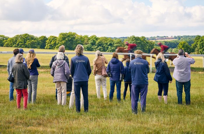 Tour group and guides watching horses at gallops at newmarket