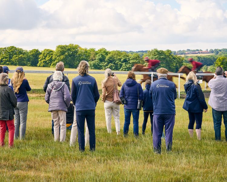 Tour group and guides watching horses at gallops at newmarket