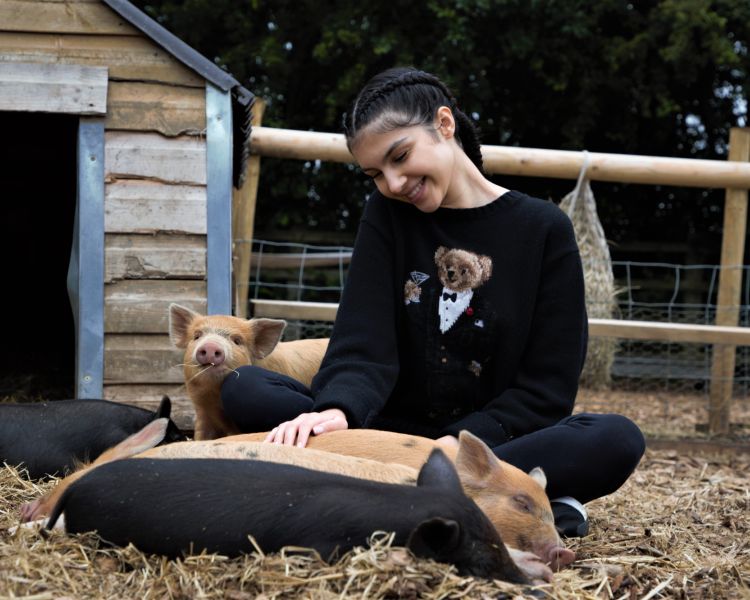Young woman stroking sleeping piglets on farm