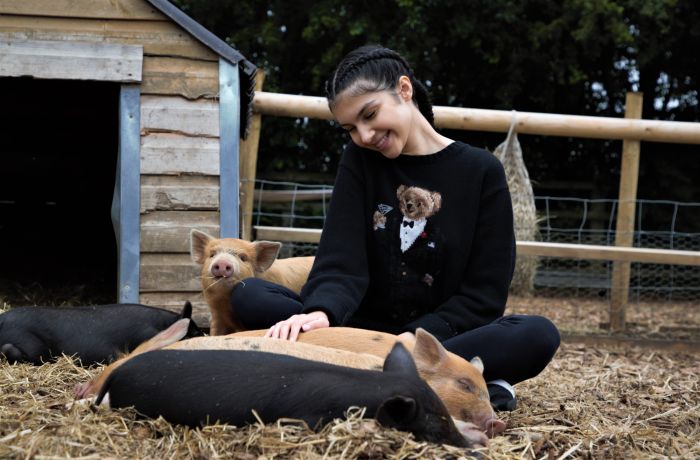 Young woman stroking sleeping piglets on farm