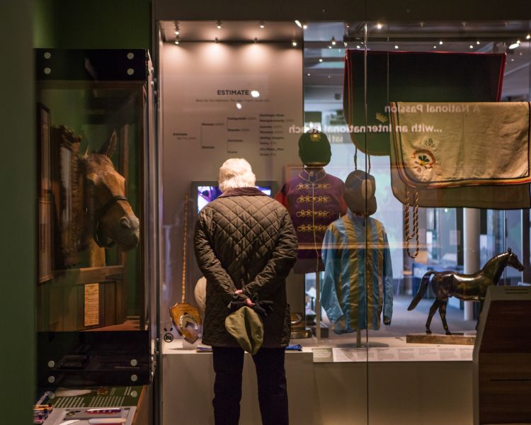Visitor looking at display cabinet of horse racing memorabilia at newmarket museum