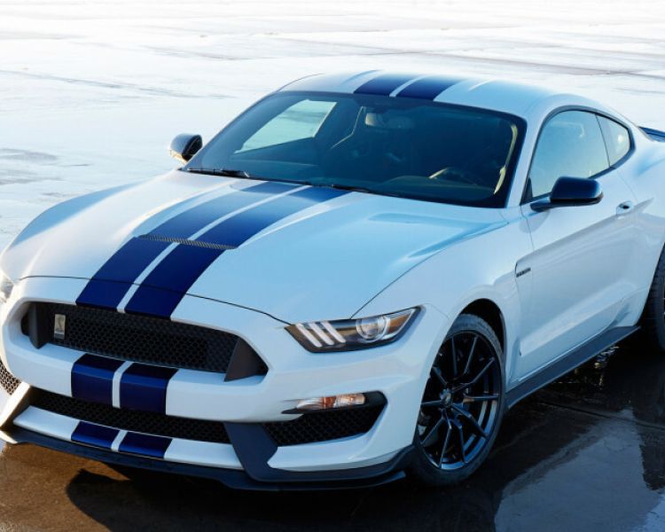 Speed mustang