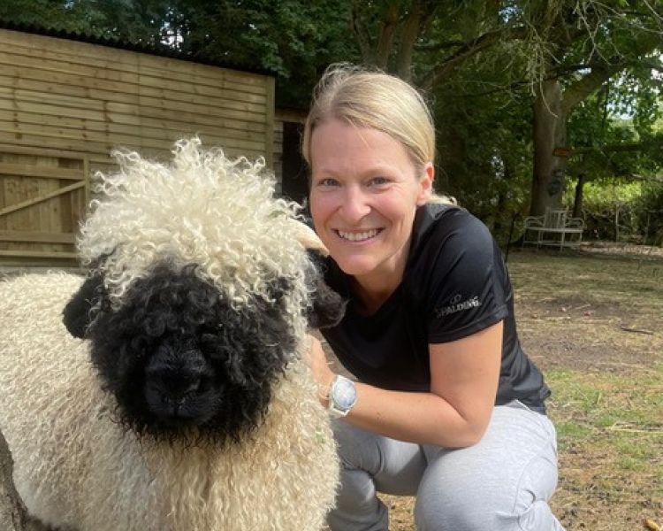 woman with a valais blacknose sheep in an orchard in kent