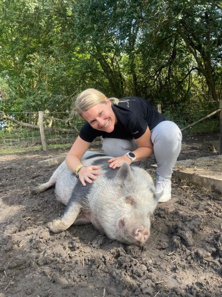 woman cuddling micro pig on orchard visit in kent