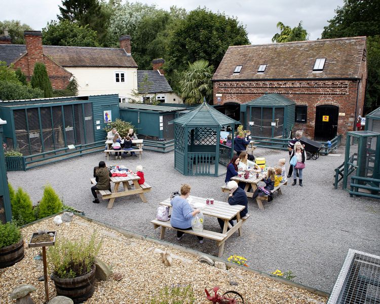 the outside courtyard area at hoo farm in shropshire with benches and animal enclosures