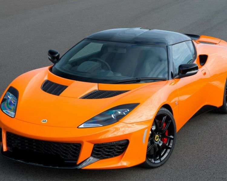 Lotus evora
