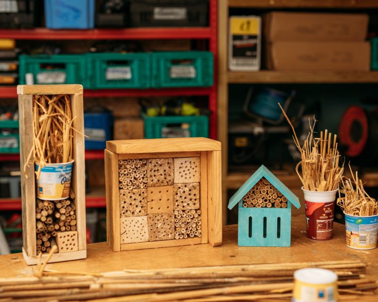 bug houses and bird boxes made on one day course in somerset