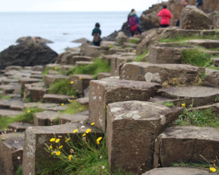 Close up of basalt columns at giants causeway used for filming on game of thrones