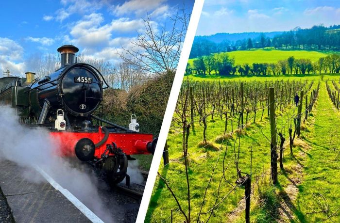 Split photo showing steam train and vineyard
