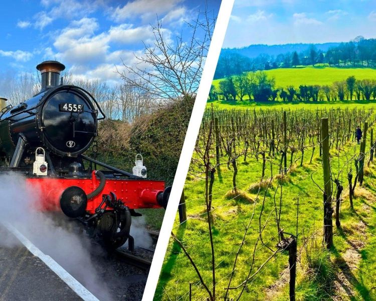 Split photo showing steam train and vineyard