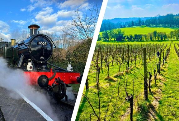 Split photo showing steam train and vineyard