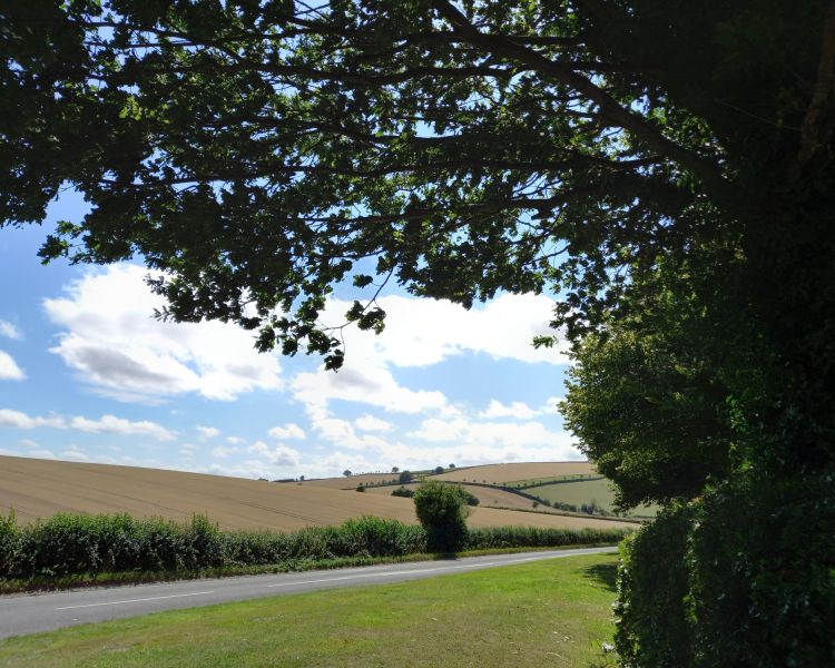 Countryside view from entrance of shropshire glamping site