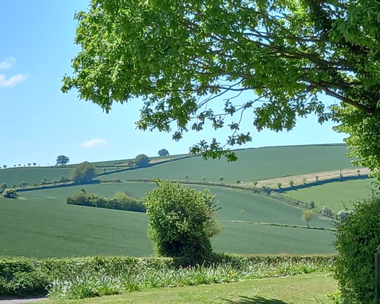 Shropshire hills seen from glamping site