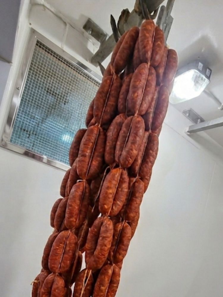 handmade sausages hanging up made on a continental sausage making course