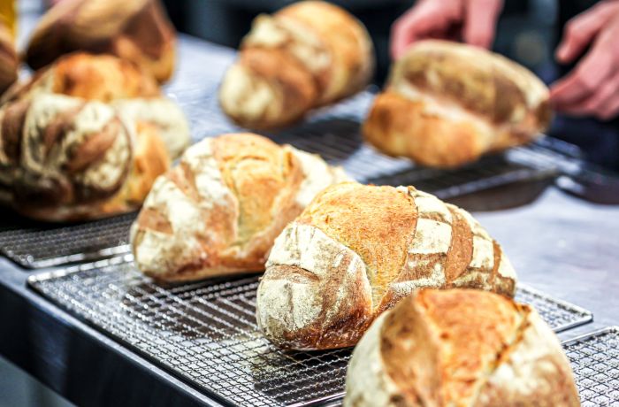 sourdough loaves on cooling racks made on sourdough bread making experience