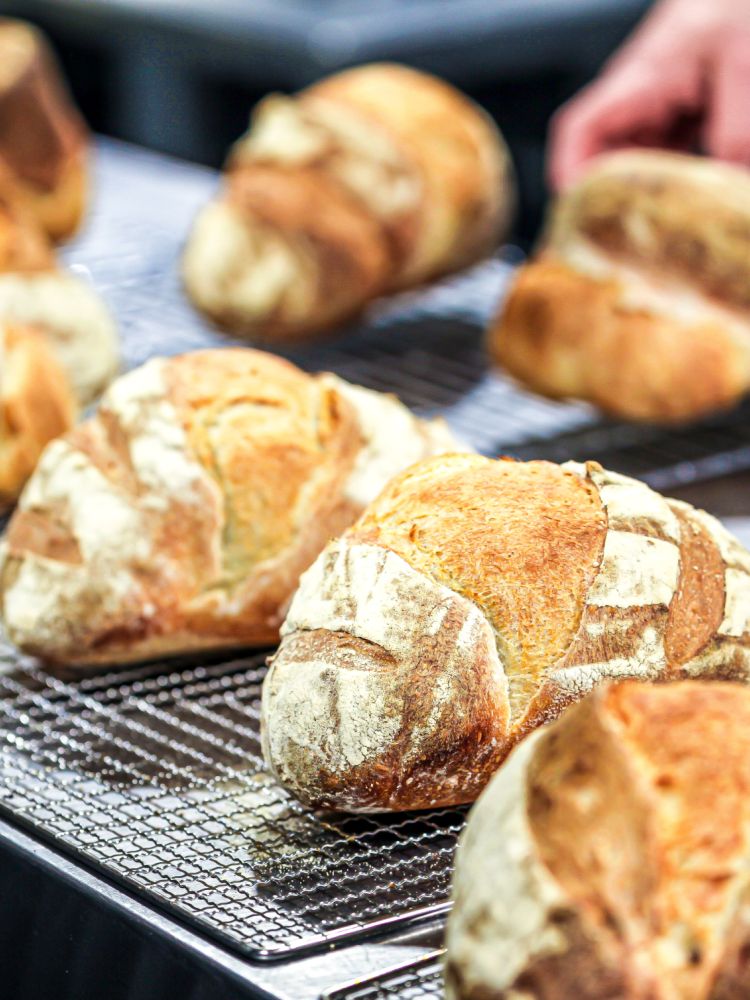 sourdough loaves on cooling racks made on sourdough bread making experience